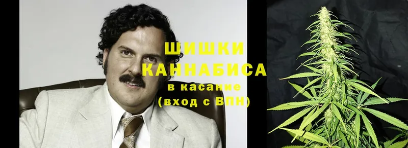 Канабис AK-47  Луза 